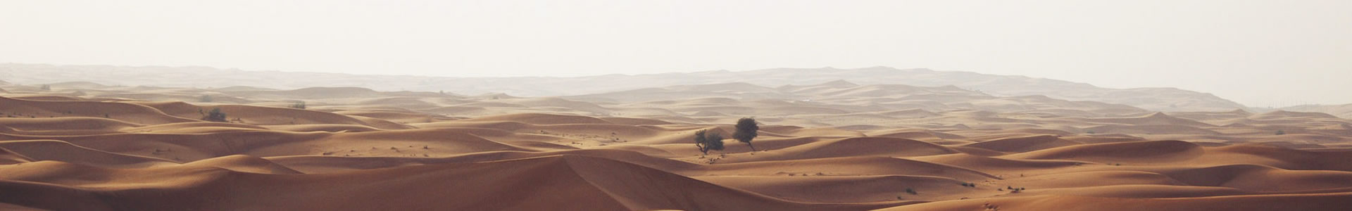 ԼƼ޹˾